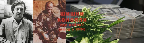 МДПВ Вяземский