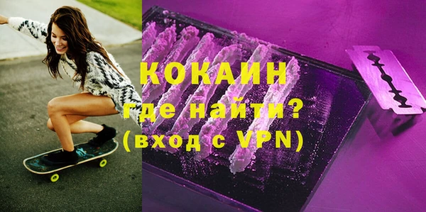 МДПВ Вяземский